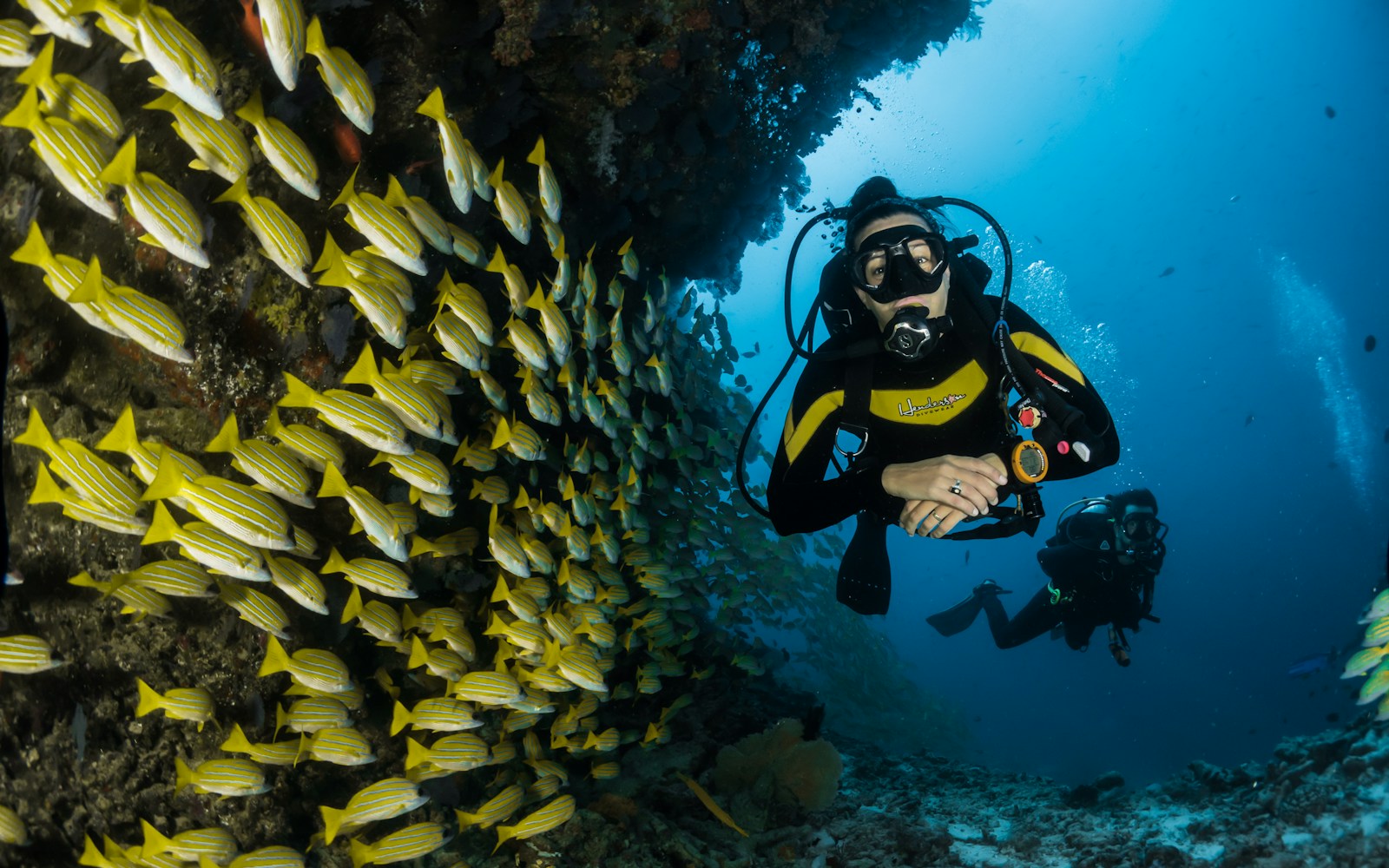 Isla de Lobos snorkel day